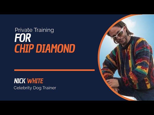 Celebrity Dog Training | Celebrity Dog Trainers | Chip Diamond