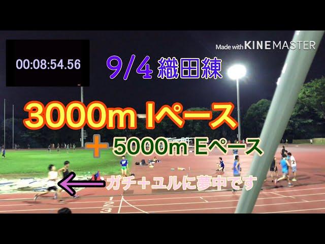 【ガチ練】トラックレース対策＋マラソン対策ができるガチユル走に夢中です【3000mIペース＋5000mEペース 】