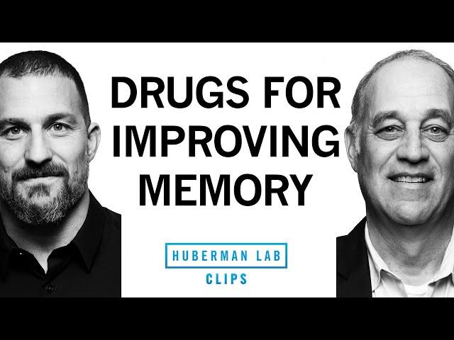 Medications That May Improve Memory & Brain Function | Dr. Mark D'Esposito & Dr. Andrew Huberman