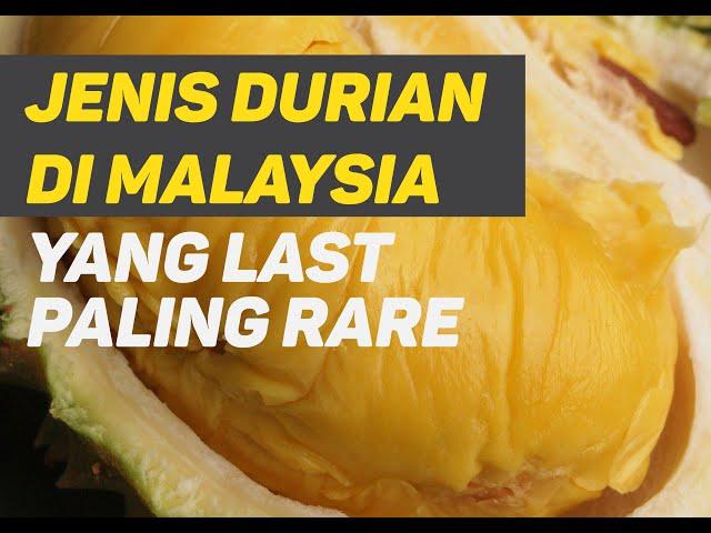 JENIS-JENIS  DURIAN DI MALAYSIA 2020