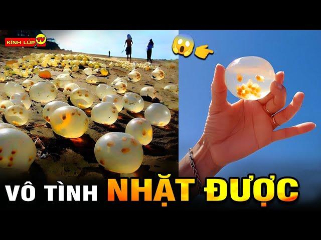  8 Hiện Tượng Kỳ Lạ Và Bí Ẩn Vô Tình Phát Hiện Trên Biển I Kính Lúp TV