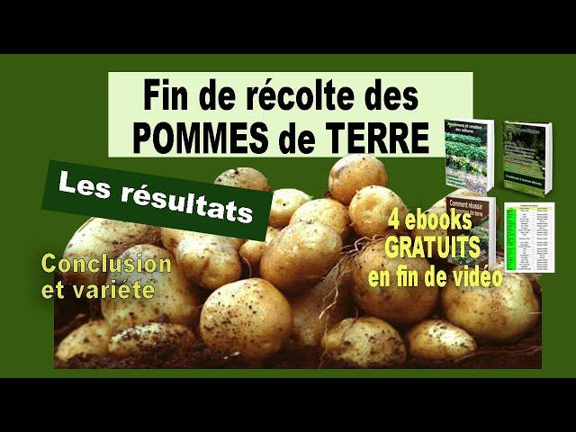 Résultat de la récolte de pomme de terre 2022