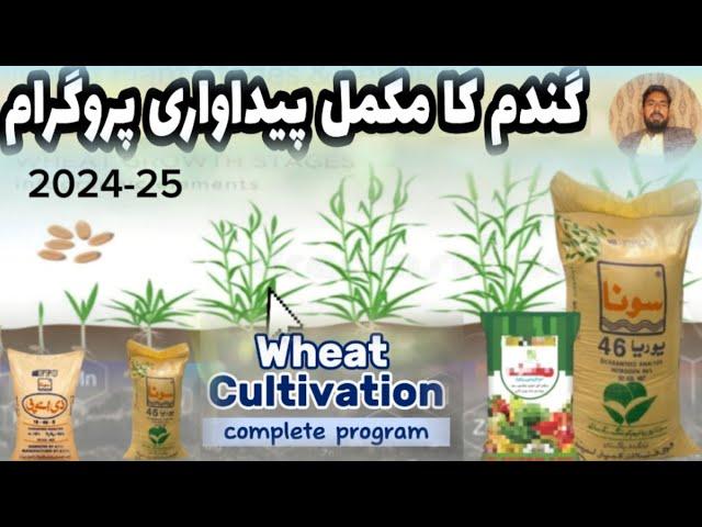 Wheat cultivation || Comprehensive Guide to Wheat Production & Fertilizer Planning"