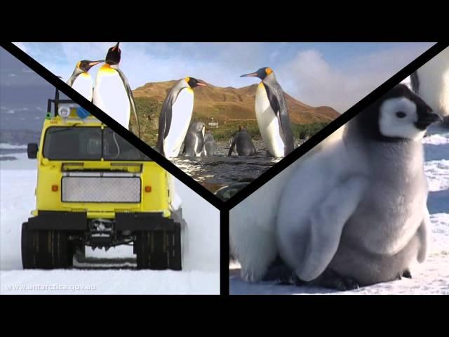 Australian Antarctic season 2012-13