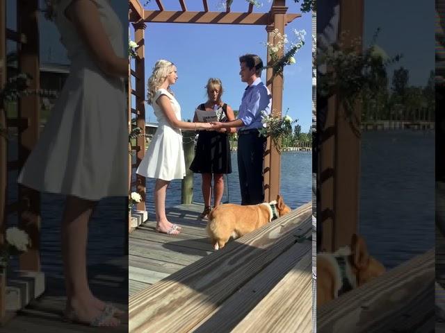 Megan Wedding Video 2