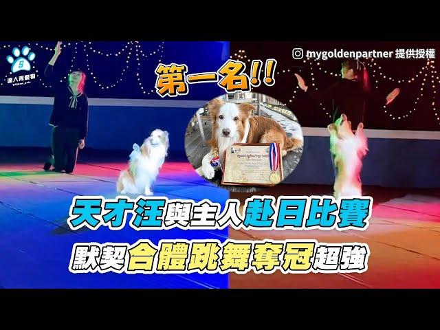 【天才汪與主人赴日比賽 默契合體跳舞奪冠超強】｜IG / mygoldenpartner