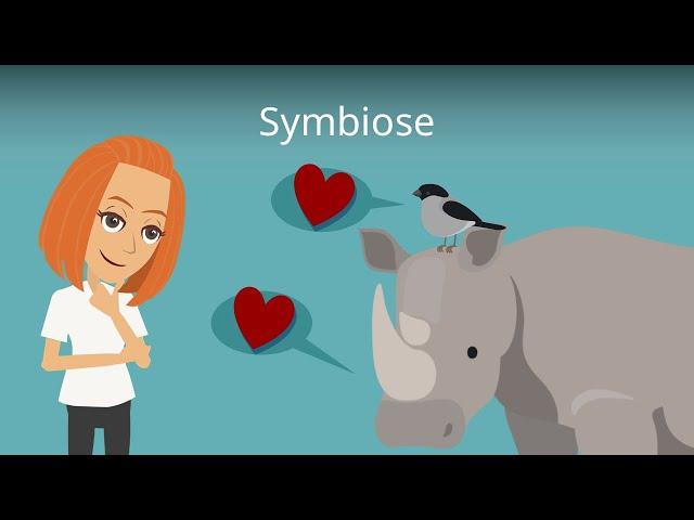 Symbiose - Biologie einfach erklärt mit Beispielen!