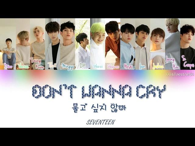 SEVENTEEN (세븐틴) - DON'T WANNA CRY (울고 싶지 않아) Color Coded Han/Rom/Eng Lyrics