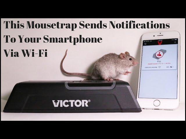 High Tech Mousetrap That Sends Notifications To Your Smartphone - Victor Smart Electronic Mousetrap.