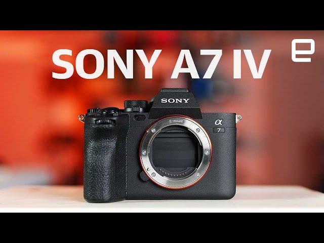 Sony A7 IV review: A nearly perfect hybrid powerhouse