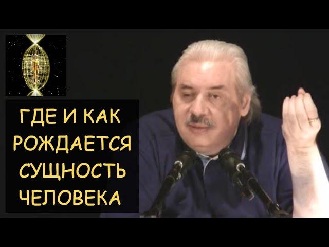  Н.Левашов: Где и как рождается Сущность (Душа) человека? Ответы на вопросы читателей