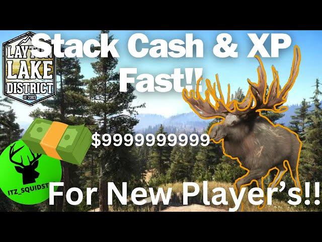 Struggling to Get CASH & XP!? WATCH THIS VIDEO!! - Call of The Wild