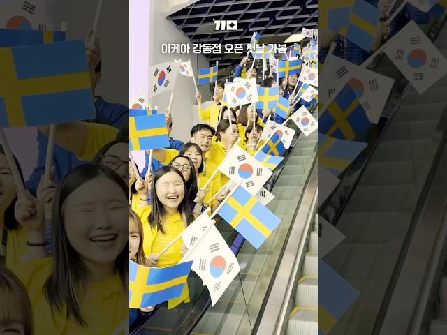 이케아 강동점 첫날 오픈 방문기 #집꾸미기 #인테리어 #이케아
