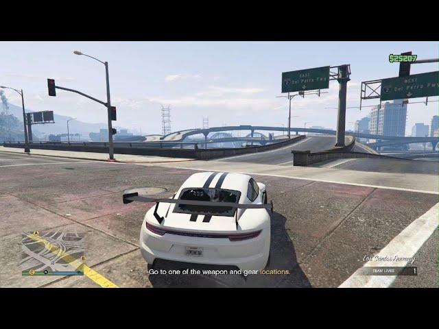 The driver GTAO