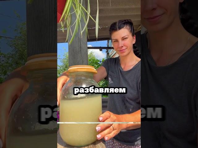 Огурцы и помидоры завалят урожаем #сад #огород #дача #рассада #урожай #огурцы #помидоры