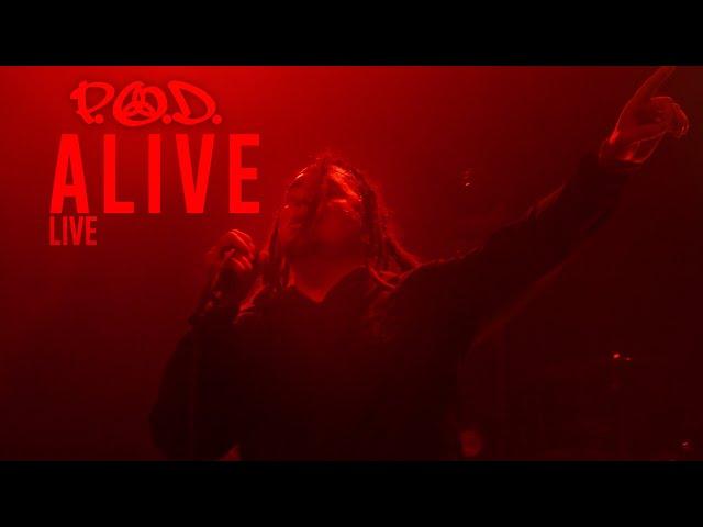 P.O.D. - Alive - Live 2021 (Satellite 20th Anniversary Tour)