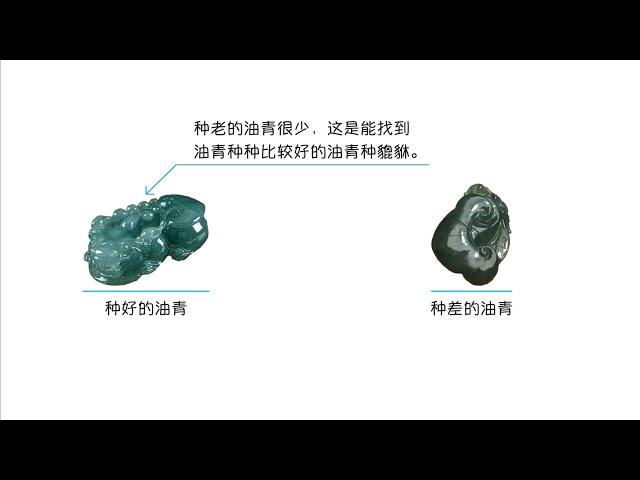 油青种翡翠形象種水