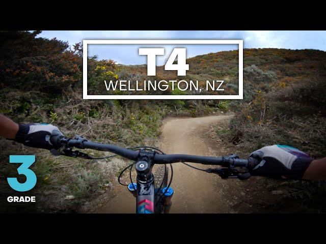 EASY WAY UP - T4 Mountain Bike Trail (Grade 3 - Intermediate) | Makara Peak, Wellington