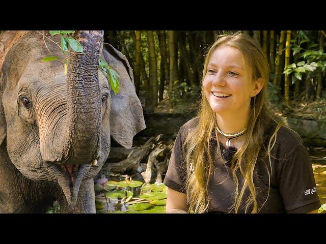 The Great Elephant Project - Volunteer Reviews | The Great Projects