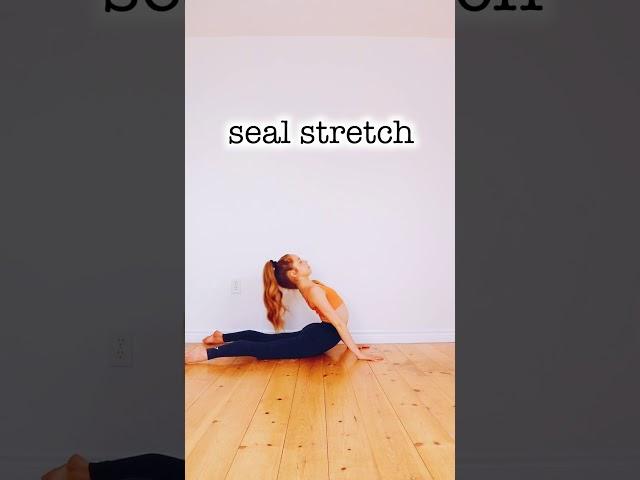 Best Stretches to get a Flexible Back!