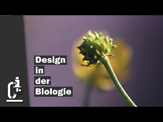 Designmerkmale in der Biologie | Dr. Reinhard Junker