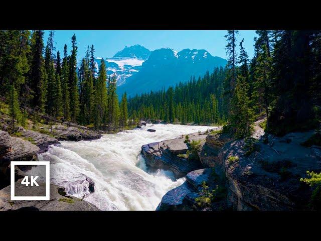 4K Mistaya River Rapids and Waterfall | Banff Canadian Rockies | Relaxing Nature Ambience