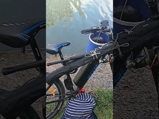 велосипед рыбака #рыбалка #fishing