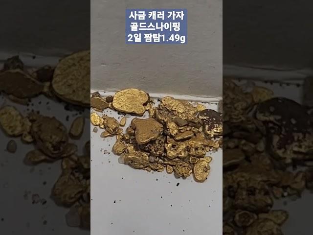 골드스나이핑 사금탐사에 푹 빠지닷~~1.49g