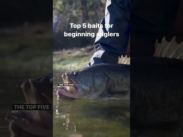 5 Best Bass Fishing Lures for Beginners!