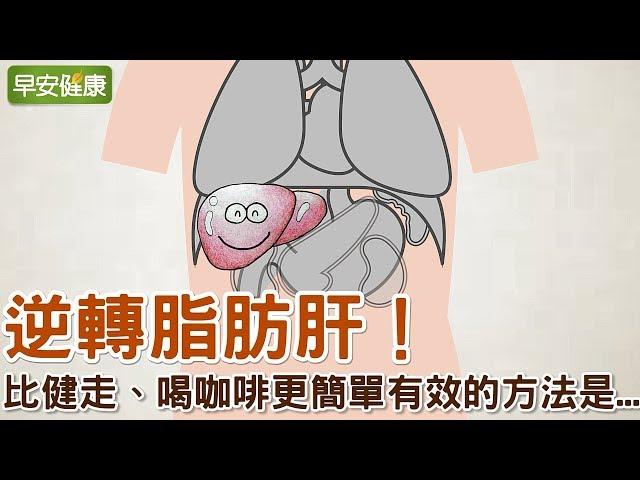 逆轉脂肪肝！比健走、喝咖啡更簡單有效的方法是…【早安健康】