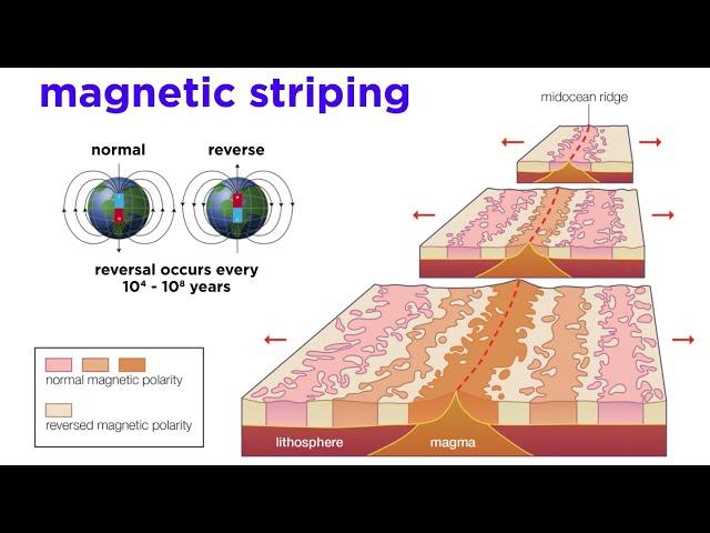The Development of Plate Tectonics