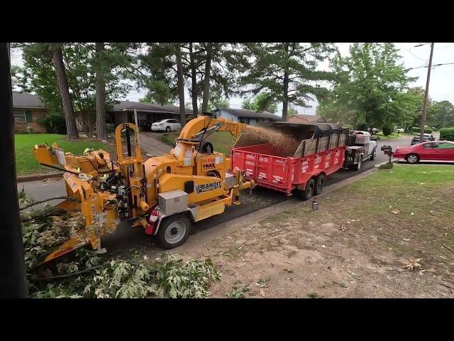 Saving a church roof by removing 4 big limbs