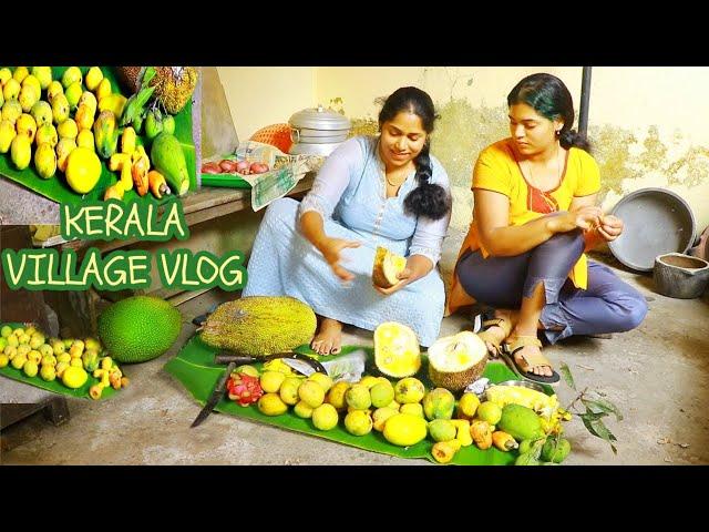 ഞാൻ ജനിച്ചു വളർന്ന വീട്KERALA VILLAGE VLOG || VACATION  KERALA VLOG