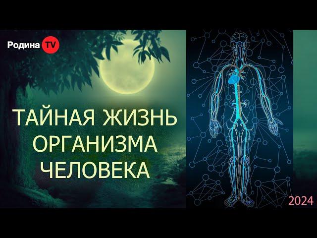 ТАЙНАЯ ЖИЗНЬ ОРГАНИЗМА ЧЕЛОВЕКА || запись прямого эфира, Родина НВ