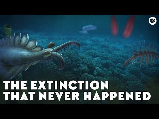 The Extinction That Never Happened