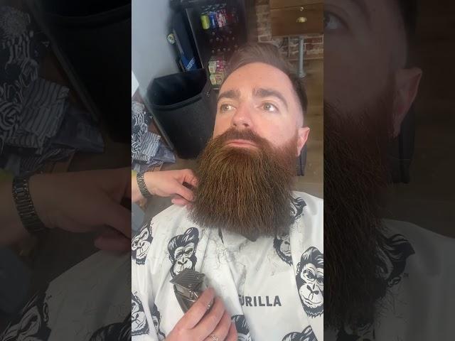 Big Beard Trim Takes my Mane from Wild to Tamed