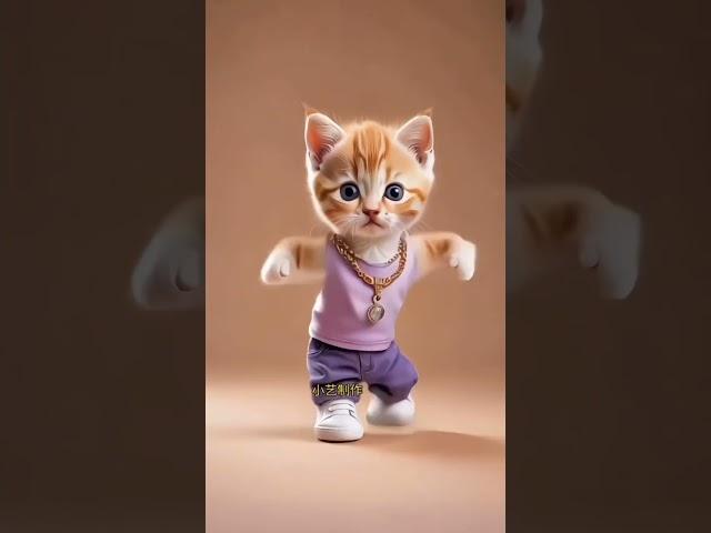 Cat Dance ️| Cute kitten #cat #lovecats #cats#catvideos #kittens #catlover #princesscat#kitten