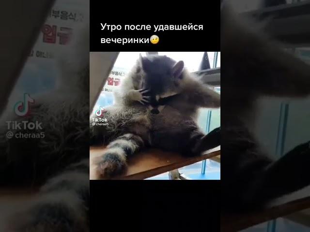 Господи пожалуйста спаси и сохрани