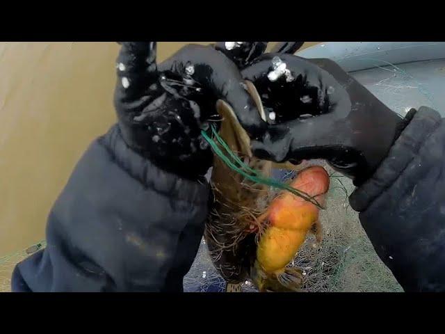 Рыбалка сетями весной на реке Амур 2020, Рыбалка на реке с fishermandv27rus