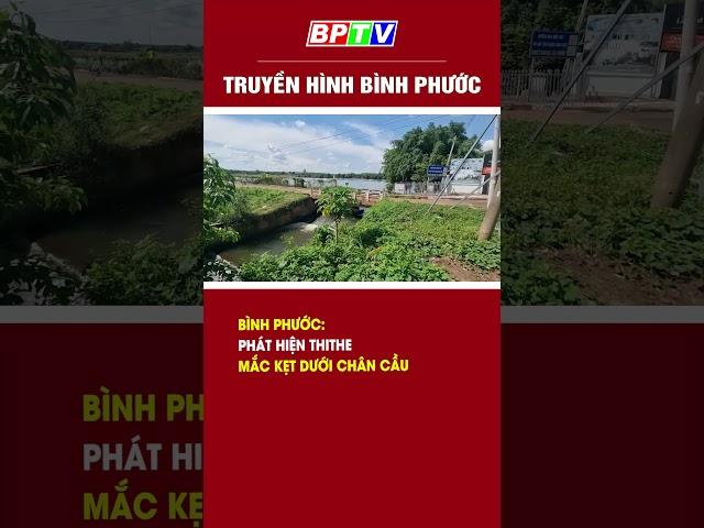 Bình Phước: Phát hiện thithe mắc kẹt dưới chân cầu #shorts  | BPTV