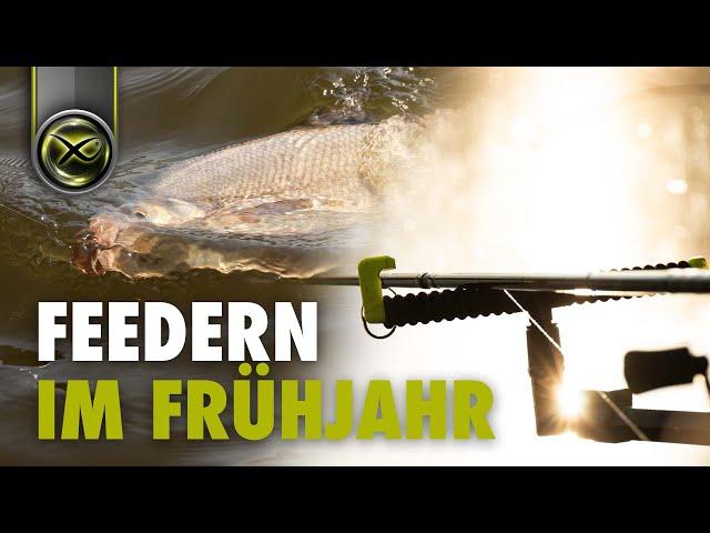 FEEDERN im FRÜHJAHR - Die Fische erwachen!