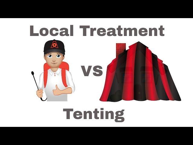 Termite Local Treatment vs Fumigation: Choosing the Right Termite Treatment for Your Home