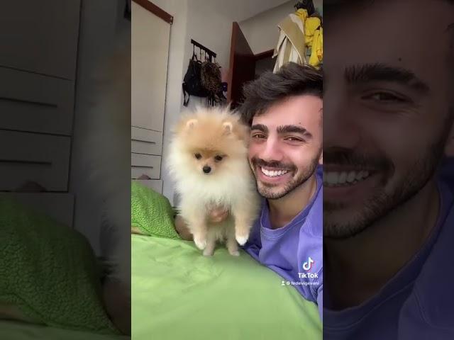 así reaccionó mi perro 