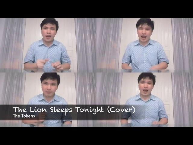 The Lion Sleeps Tonight (The Tokens) Cover