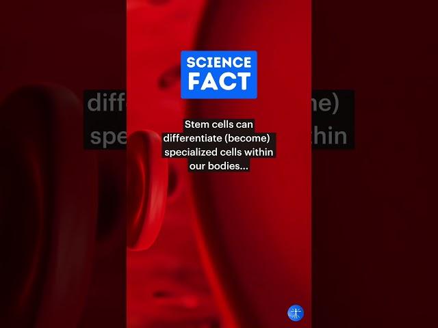 It's truly mind-blowing what stem cells can do! #IncredibleScience #shorts #facts