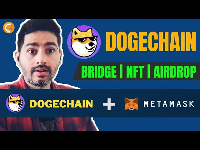 DogeChain - Bridge, NFT, DEFI | How To Add DogeChain to MetaMask | DOGECHAIN Airdrop | हिंदी में