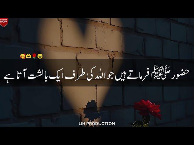 Huzoor Pakﷺ Irshad Farmate Hain  | New Islamic Whatsapp Status Peer Ajmal Raza Qadri