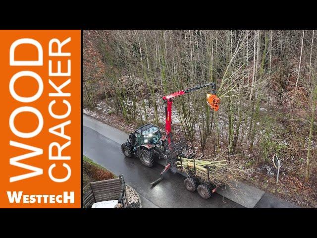 kardanische Greifersäge Woodcracker® CS510 crane für Sicherheitsbaumfällungen