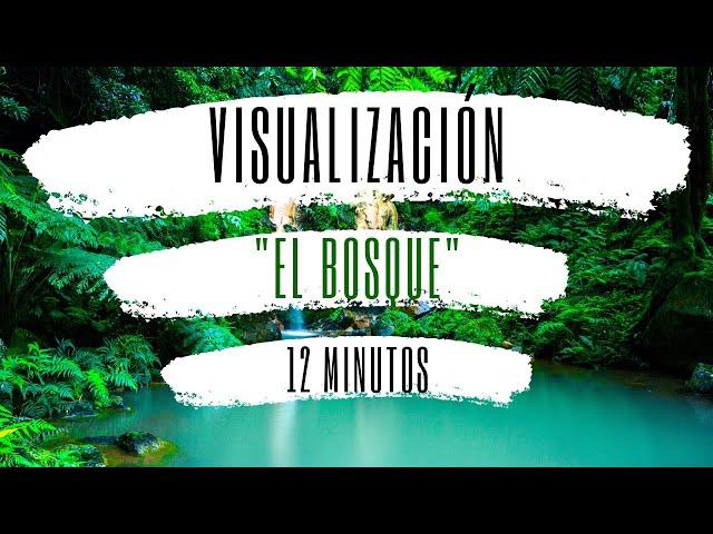 VISUALIZACIÓN "EL BOSQUE". MEDITACIÓN PARA LA ANSIEDAD Y EL AGOBIO. RELAJACIÓN DE CUERPO Y MENTE 