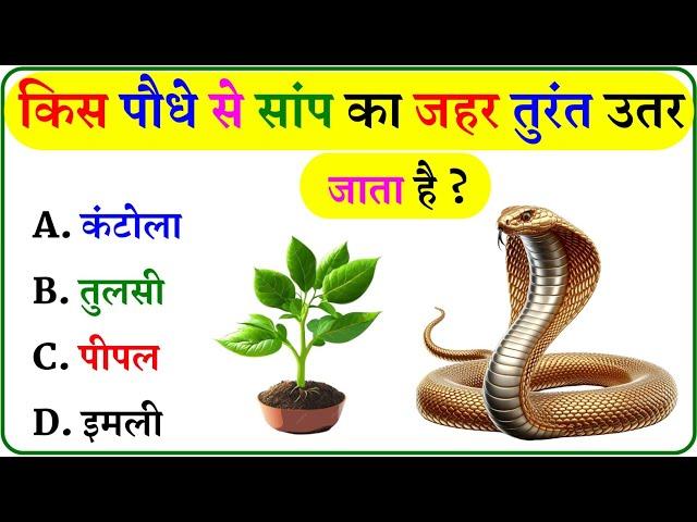 GK Question || GK In Hindi || GK Question and Answer || GK Quiz ||